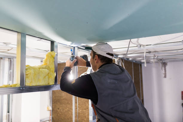 Best Eco-Friendly Insulation in Bourbonnais, IL