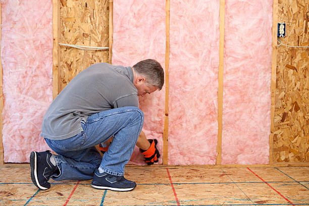 Best Cellulose Insulation in Bourbonnais, IL